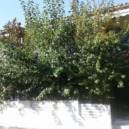 Lenia Apart-hotel 2*